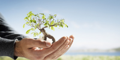 Plant in Hand